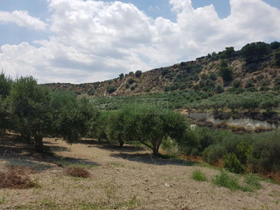 Πωλήσεις Αγροτεμαχίων