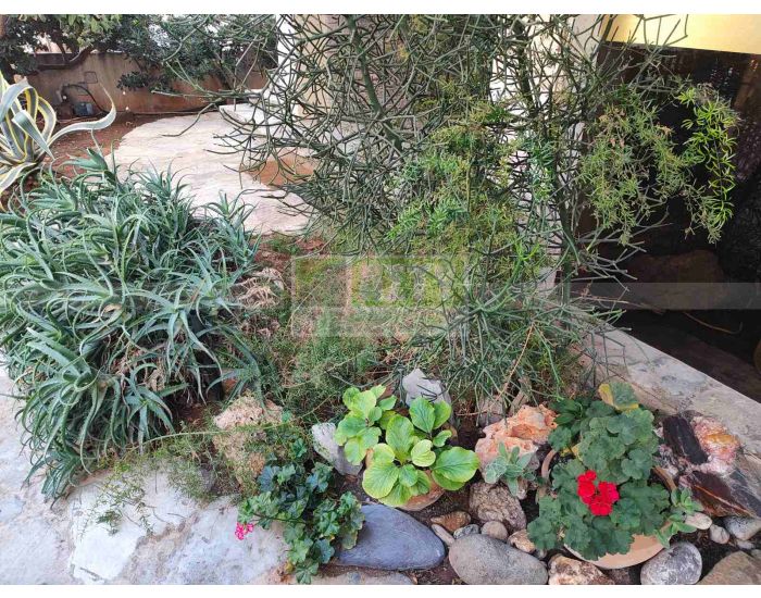 For Sale - MASTAMPAS