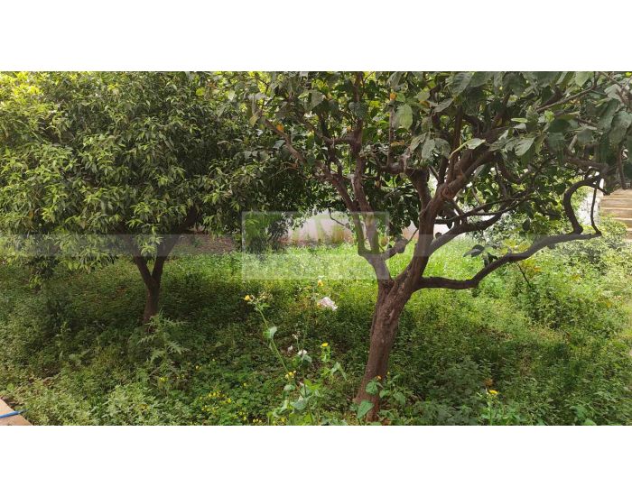 Πωλείται - ΜΑΣΤΑΜΠΑΣ