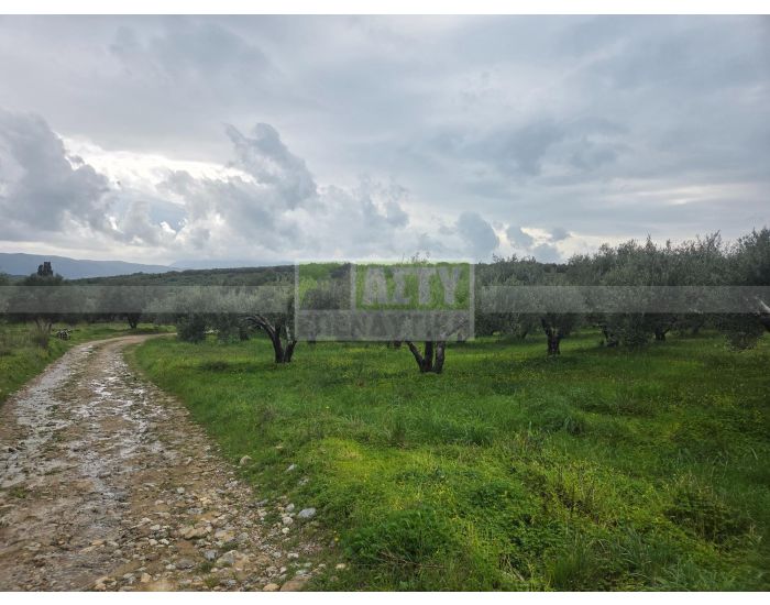 Πωλείται - ΙΝΙ