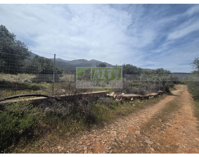 For Sale - MALIA