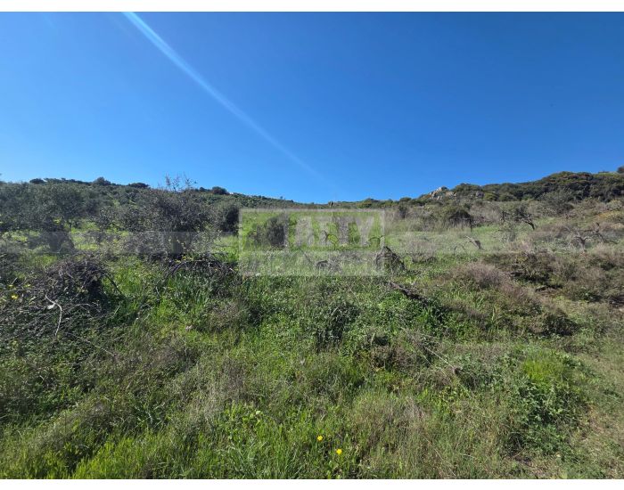 Πωλείται - ΚΑΡΝΑΡΙ