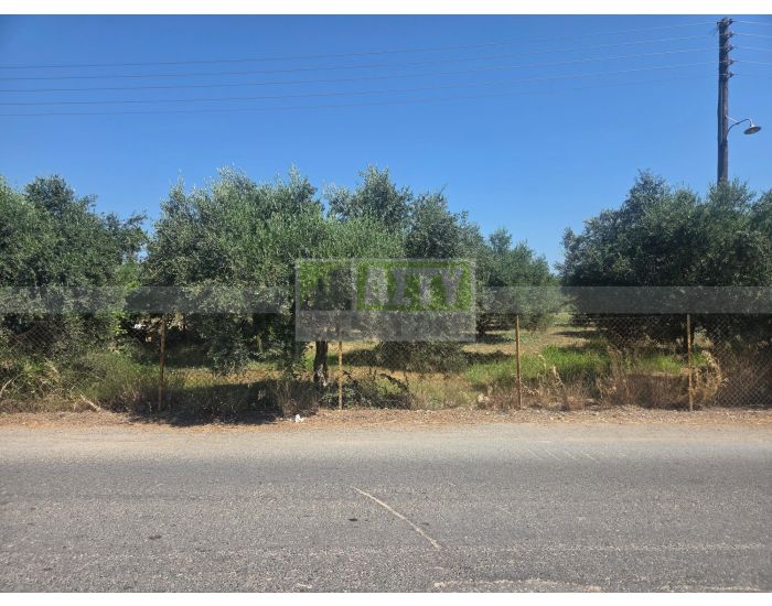 For Sale - ARKALOCHORI