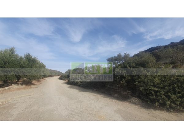 For Sale - ΣΚΙΝΙΑΣ
