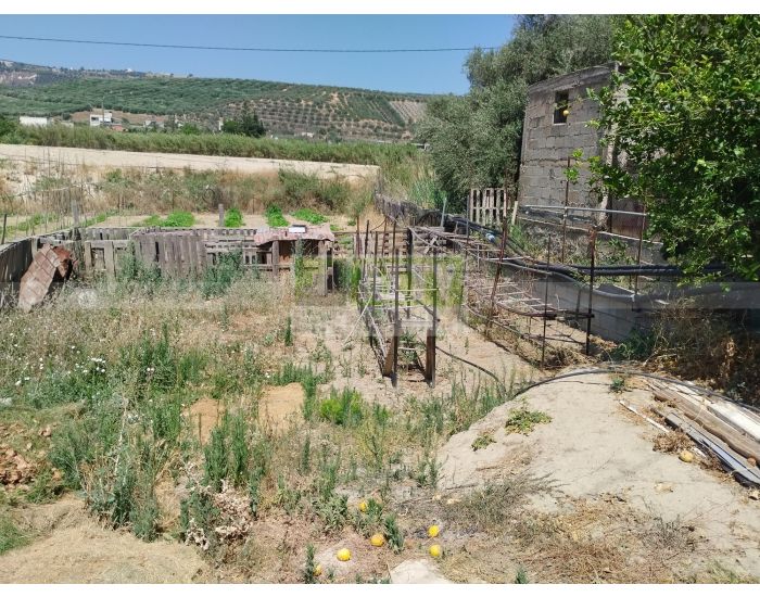For Sale - FOINIKIA
