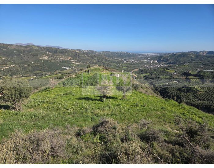 For Sale - TSAGKARAKI