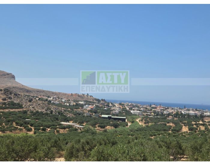 Πωλείται - ΓΟΥΡΝΕΣ ΠΕΔΙΑΔΟΣ