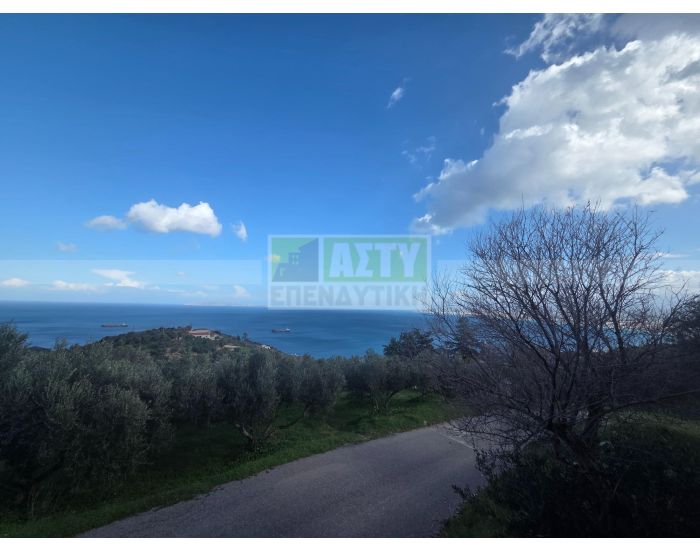 For Sale - PANTANASSA