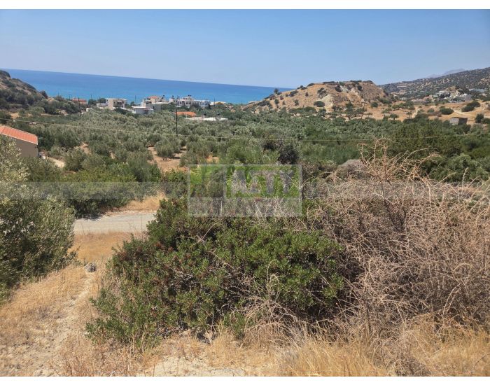 Πωλείται - ΚΕΡΑΤΟΚΑΜΠΟΣ