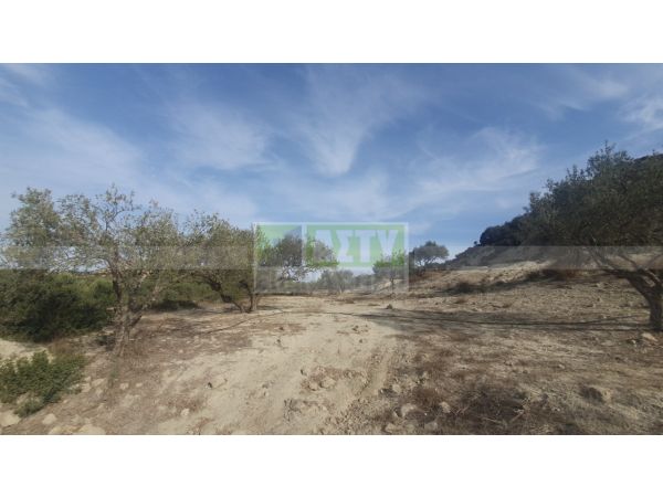 For Sale - ΣΚΙΝΙΑΣ