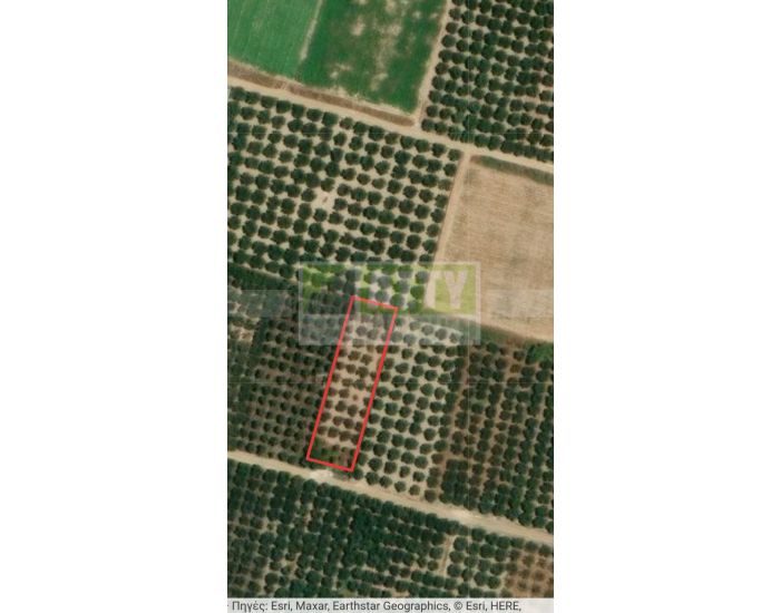 For Sale - MOIRES - PETROKEFALI
