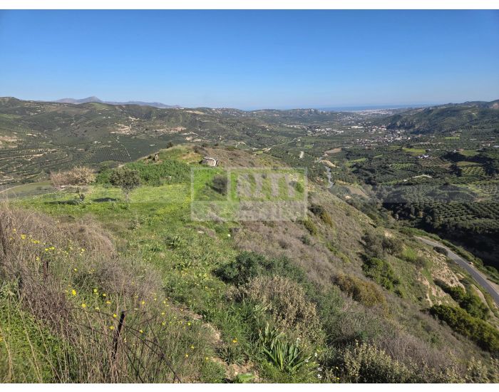 For Sale - TSAGKARAKI