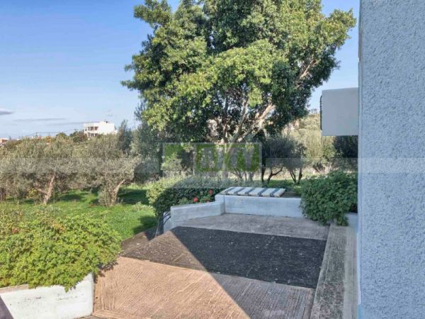 Ενοικιάζεται - ΠΑΓΝΗ