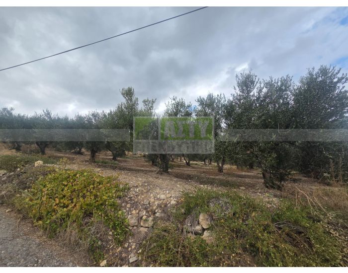 For Sale - SPILIA