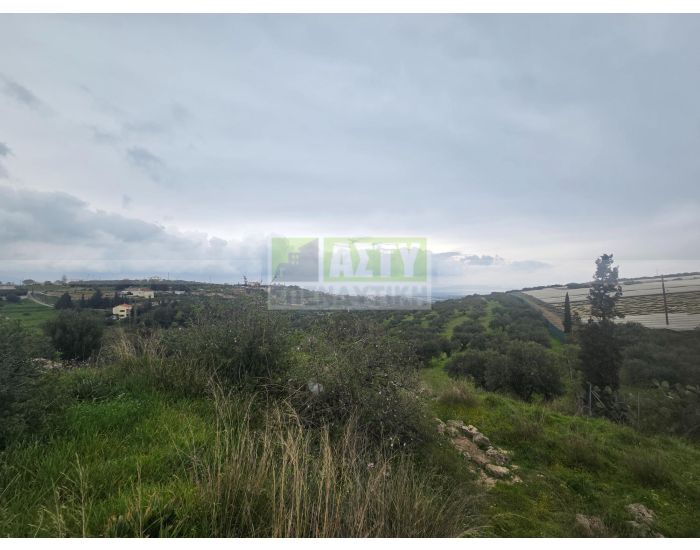 For Sale - MARATHITIS