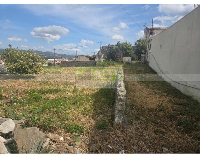 For Sale - STERNES