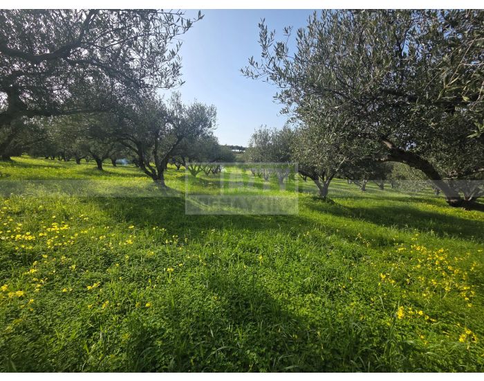 For Sale - ANO VATHIA