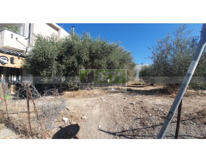 For Sale - KAPPARIANA