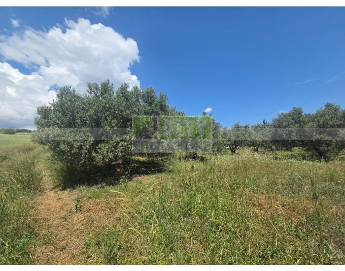 For Sale - SIVA