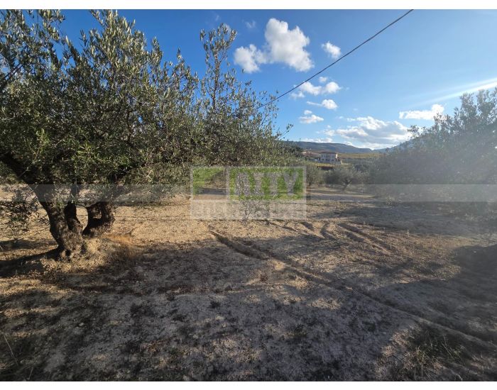 For Sale - AGIA EIRINI SPILIA