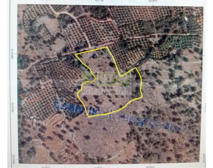 For Sale - MALIA