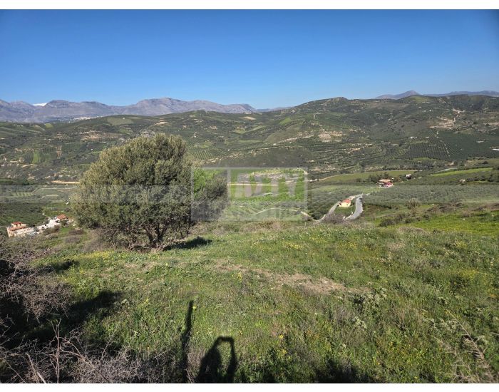 For Sale - TSAGKARAKI