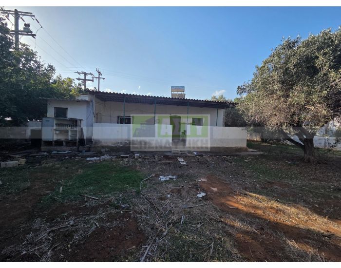 For Sale - KOKKINI HANI