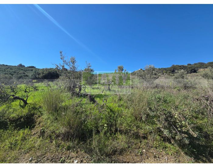 Πωλείται - ΚΑΡΝΑΡΙ