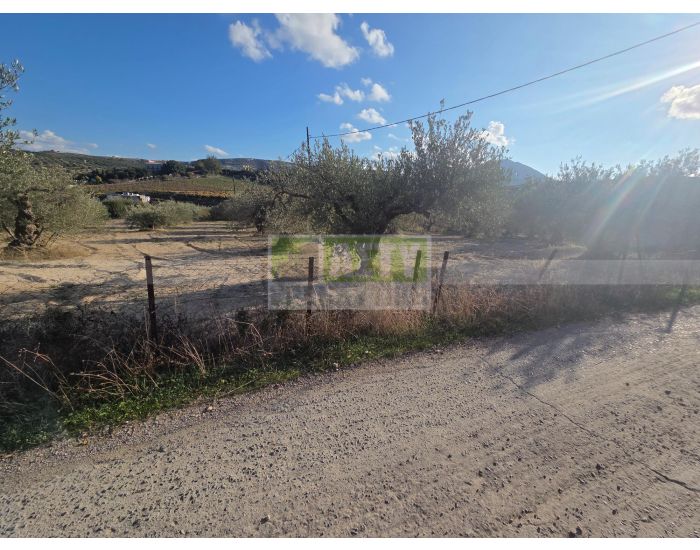 For Sale - AGIA EIRINI SPILIA