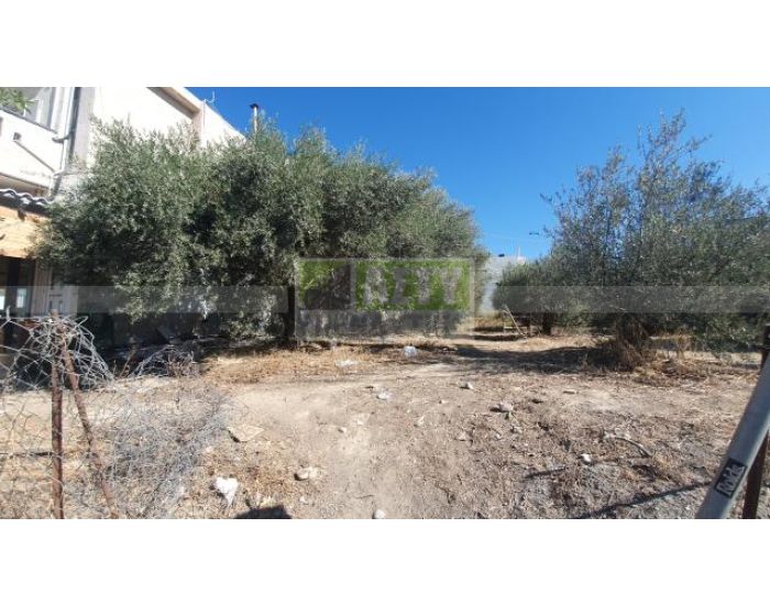 For Sale - KAPPARIANA