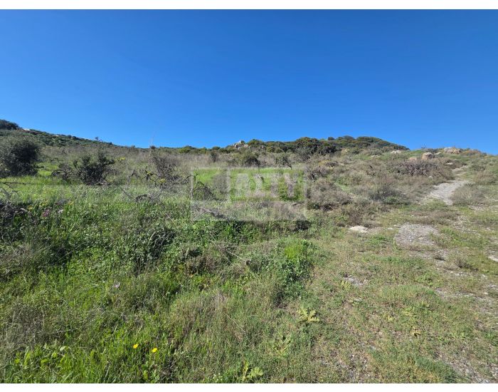 Πωλείται - ΚΑΡΝΑΡΙ