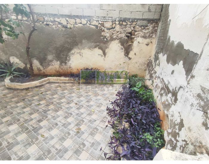 For Sale - LIONTARIA