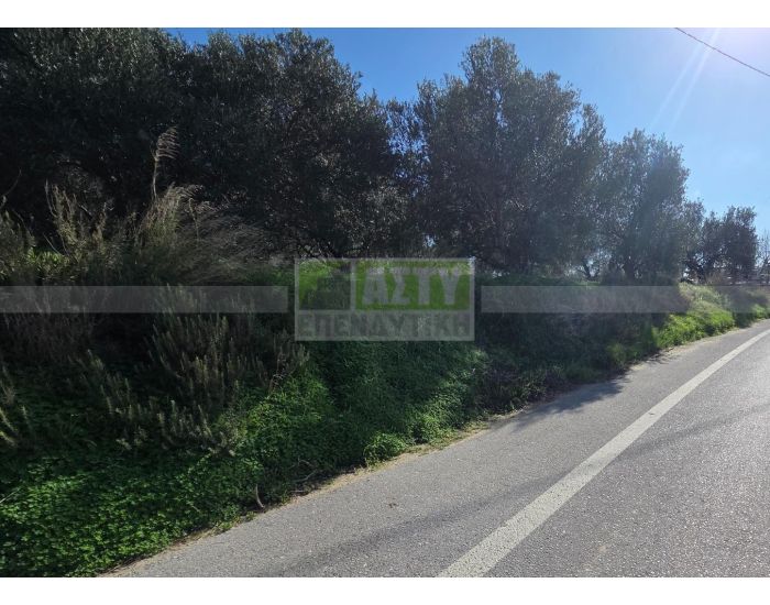 For Sale - KELLIA