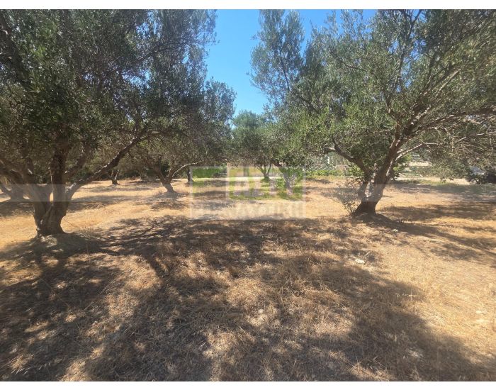 For Sale - SKALANI