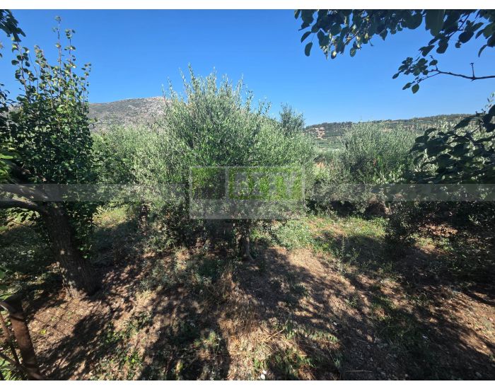 For Sale - ARCHANES KATO