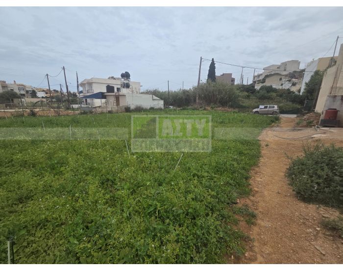 For Sale - AGIA PELAGIA