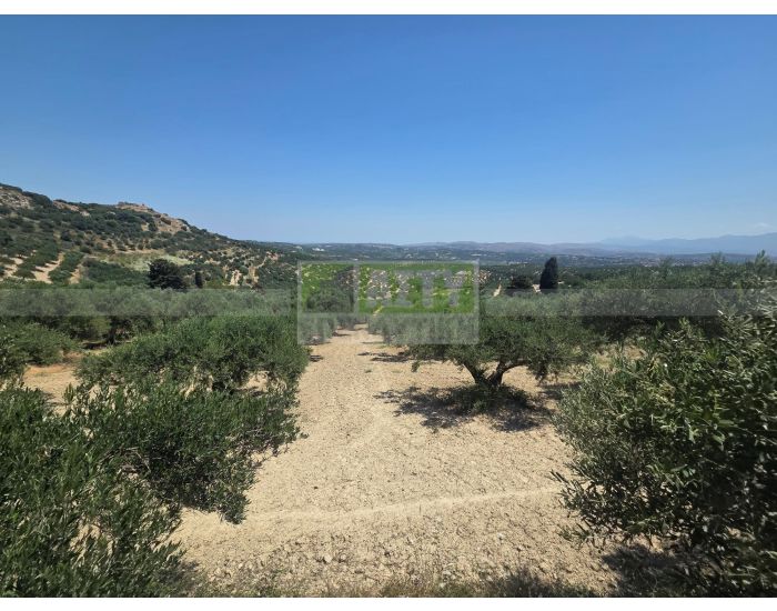 For Sale - KALLONI