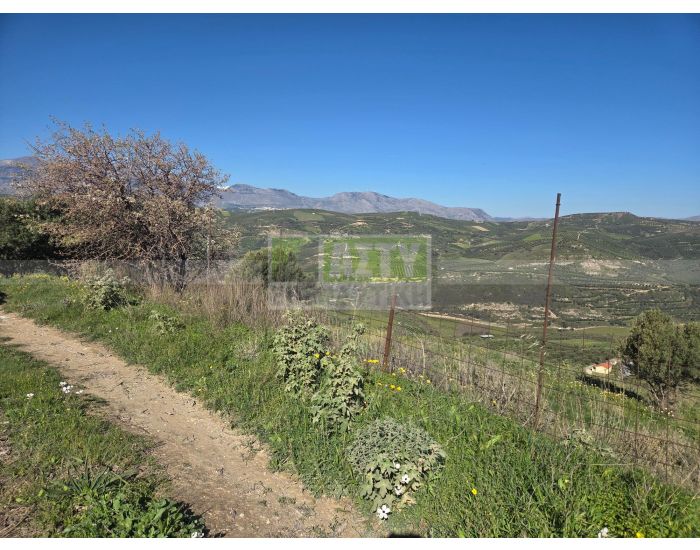 For Sale - TSAGKARAKI