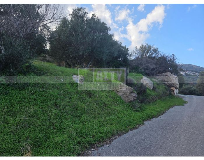 For Sale - PANTANASSA