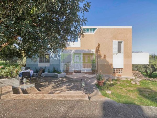 Ενοικιάζεται - ΠΑΓΝΗ