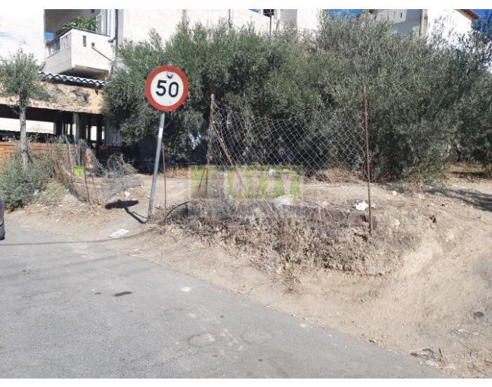 For Sale - KAPPARIANA