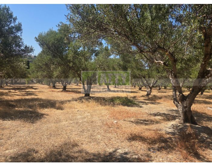 For Sale - SKALANI