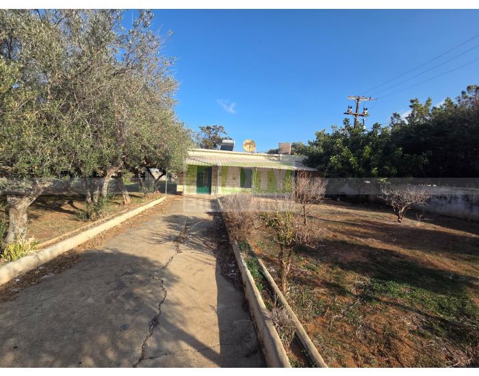 For Sale - KOKKINI HANI