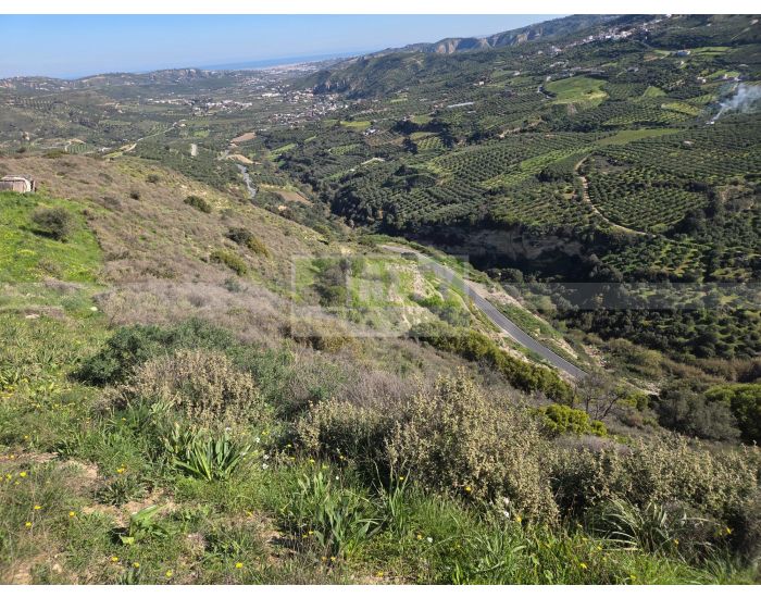 For Sale - TSAGKARAKI