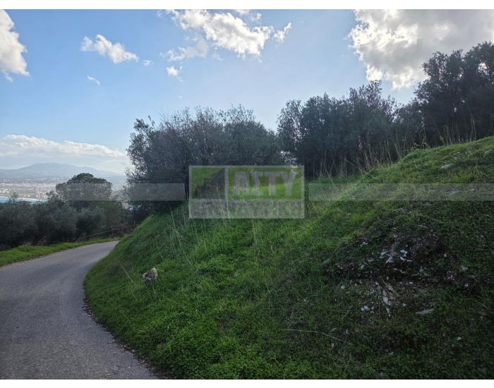 For Sale - PANTANASSA