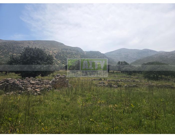 For Sale - MALIA