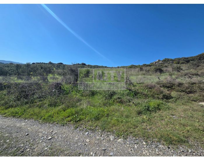 Πωλείται - ΚΑΡΝΑΡΙ