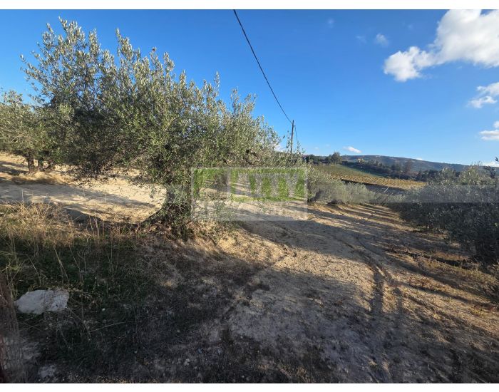 For Sale - AGIA EIRINI SPILIA