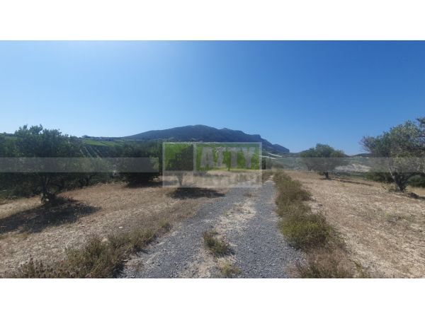 AGIOS VLASIS AGIOS VLASIS