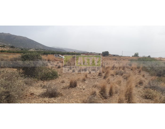 Πωλείται - ΤΣΟΥΤΣΟΥΡΟΣ